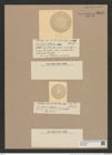 Coscinodiscus atlandicus Castr. (de-Toni-Nr.: Genus 202, Species 4911) Zeichnungen Sammlung Grunow Nr. 8673 (NHMW-BOT-W0378084)